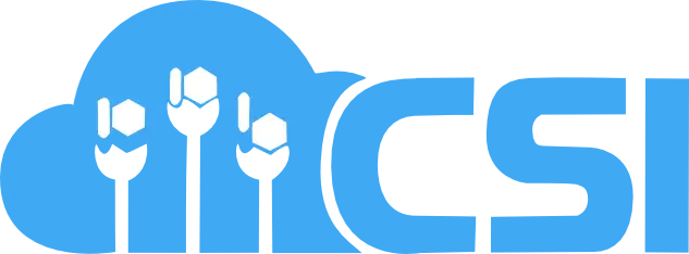 CSI — Collaborative Systems Integration